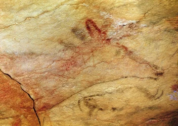 Hirsch aus den Höhlen von Altamira, ca. 15.000 v. Chr. (Detail)